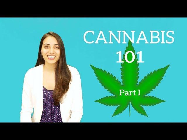 Cannabis 101: Part One!