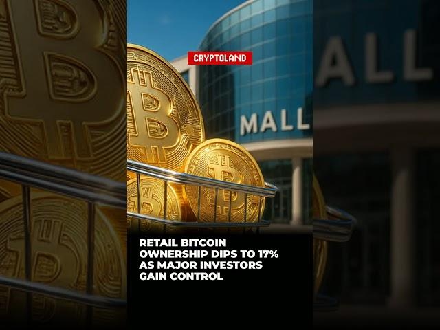Retail Bitcoin Ownership Dips to 17% as Major Investors Gain Control