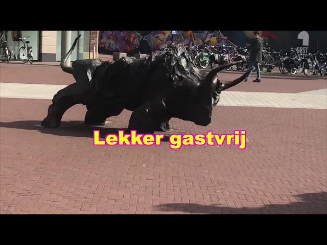 Kakhiel Vlog #18 - Vet lelijke kunst in Den Bosch