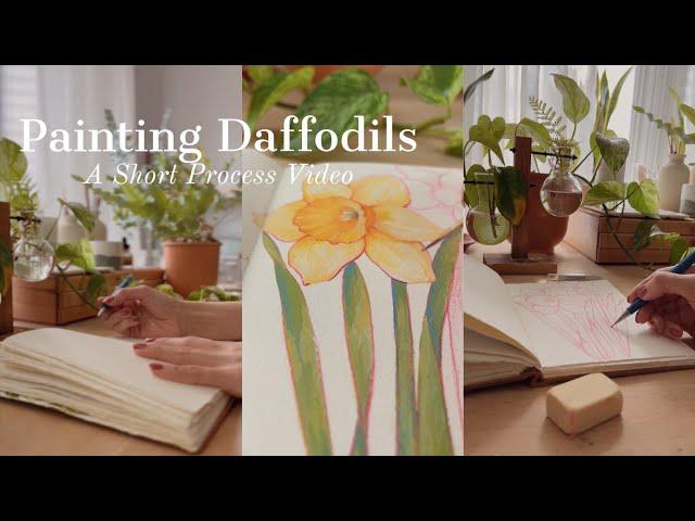 Painting Daffodils: The process video from sketch to finished illustration