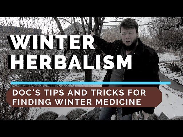 Winter Herbalism! How to Stay Healthy without your Garden Fresh Herbs!