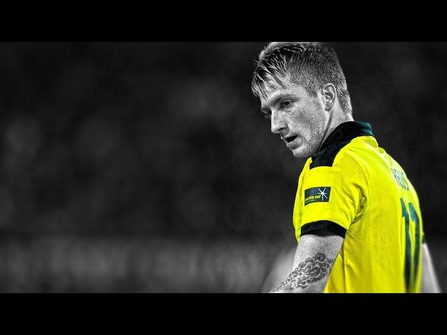 Top 5 Goals | Marco Reus 2013/14 (HD)