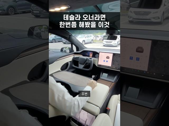[100만뷰] 테슬라 오너라면 한 번쯤 해봤을 ‘이것‘
