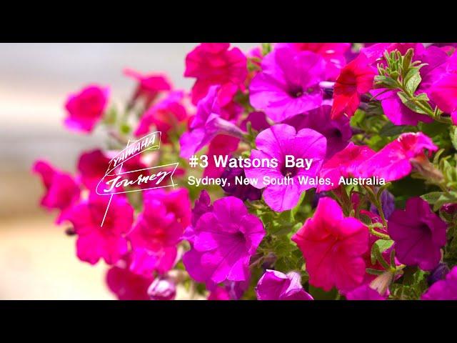 YAMAHA MOTOR Journey 「#3 Watsons Bay, Australia」