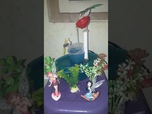 simple water #fountain #shorts @sridha talks
