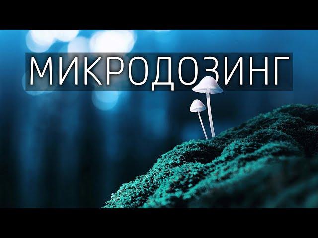 Микродозинг [ЛСД | Псилоцибин]