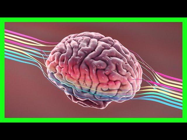 WHAT IS DOPAMINE ?