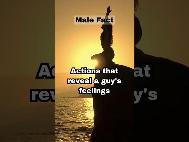 The Emotion Explorers