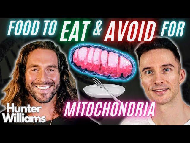 TOP MITOCHONDRIA Supporting FOODS You Need to Know