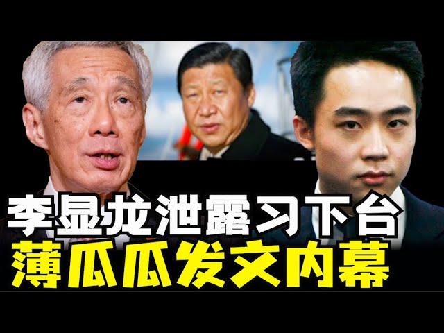 习近平下台信号多一个，李显龙泄露中国下一代领导人，新加坡对中国的了解，薄瓜瓜为何高调发文，中国经济差最惨两代人（小木谈天第508期20241207）