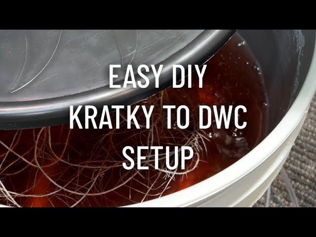 DIY Kratky to Deep Water Culture