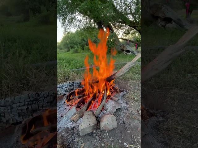 Just relax #Fire #happiness #happy #nature