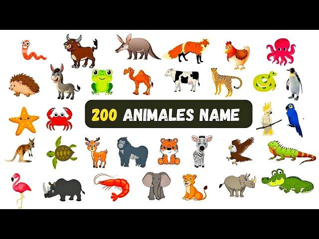 200 Animals And Birds Name || Animals Vocabulary