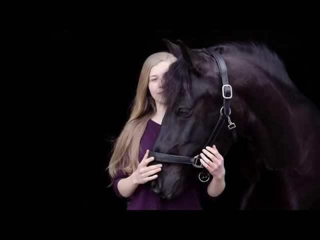 How to take black background photos with your horse