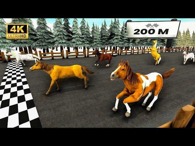 200 Meters Epic Animal Race, Elephant, Zebra, Tiger,, Horse | 3d Animal Racing | Racing animal