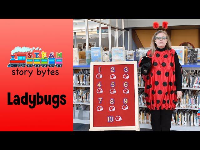 STEAM Story Bytes: Ladybugs