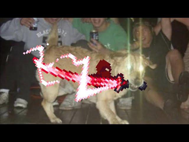 TRUE MELEE CALAMITY INFERNUM.EXE