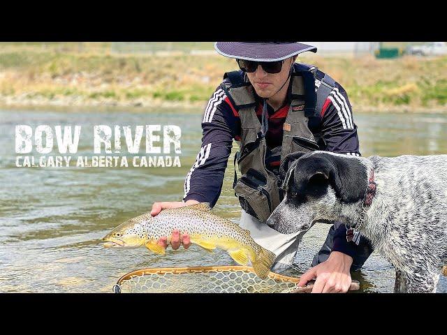 Bouncing Browns | BOW RIVER in MAY [Calgary, AB, CANADA]