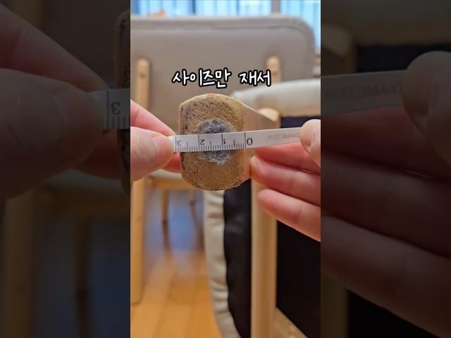 의자발커버 찐리뷰 #생활꿀팁 #살림템  #다이소
