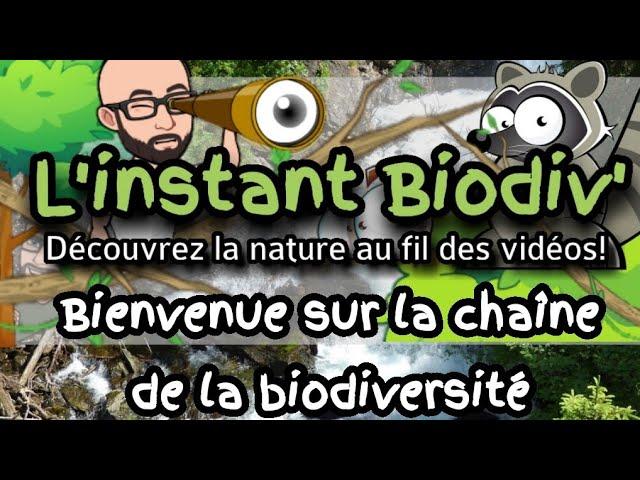 Bienvenue sur l'instant Biodiv' welcome to the moment Biodiv'