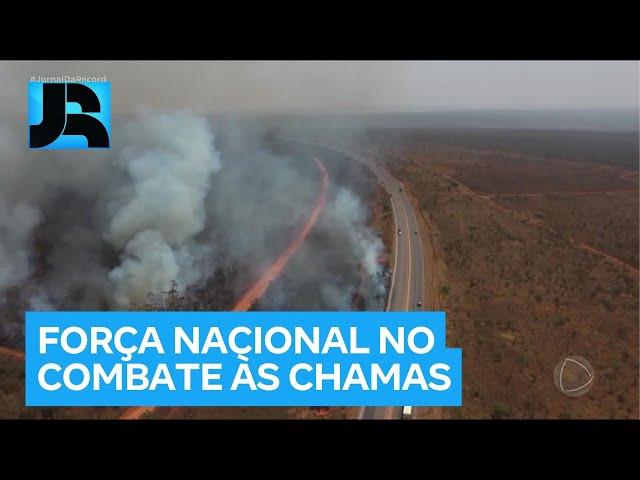 Força Nacional é autorizada a ajudar no combate aos incêndios florestais em seis estados do país