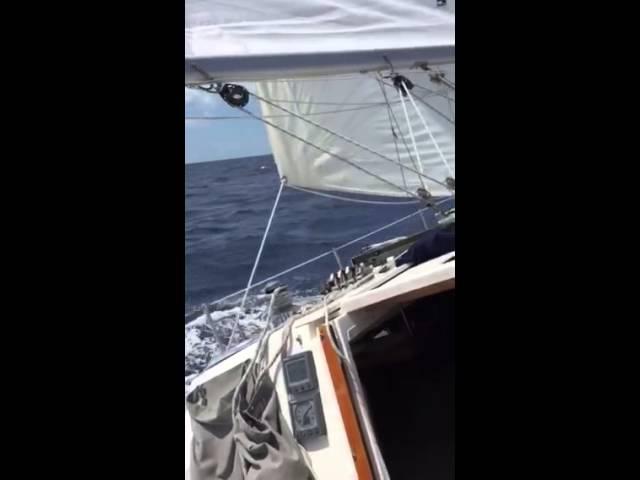 Catalina 36 Sunday Sail