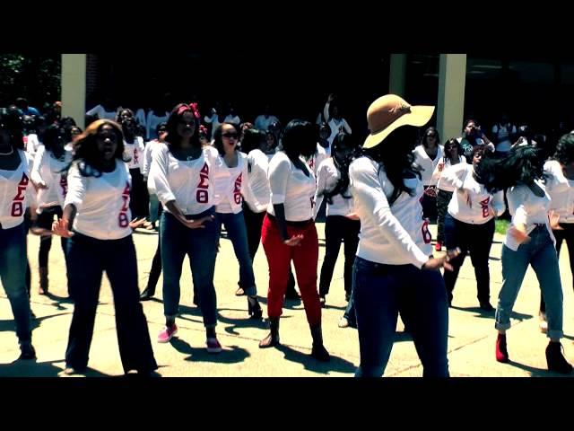 DELTA SIGMA THETA YARD SHOW AT SOUTHERN UNIVERSITY SPRING 2012!