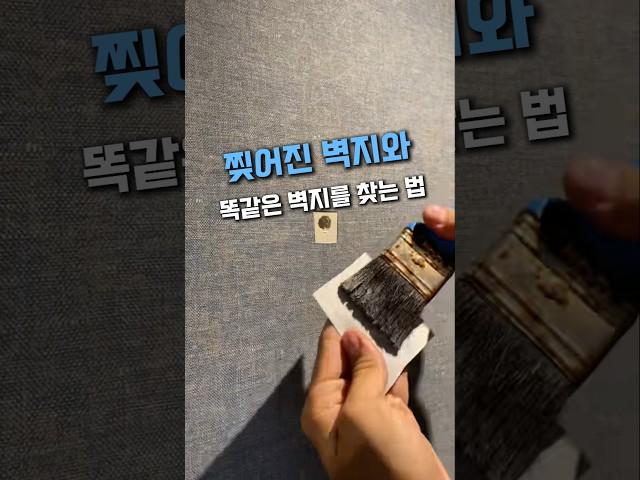 찢어진 벽지와 똑같은 벽지를 찾는 법 #인테리어 #살림팁 #벽지