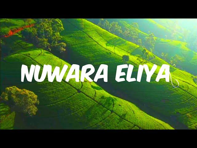 Nuwara Eliya 4k Video | Nuwara Eliya Sri lanka | Nuwara Eliya Travel Places English Songs