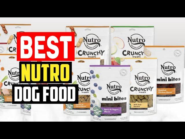 Top 5 Best Nutro Dog Food Review of 2023