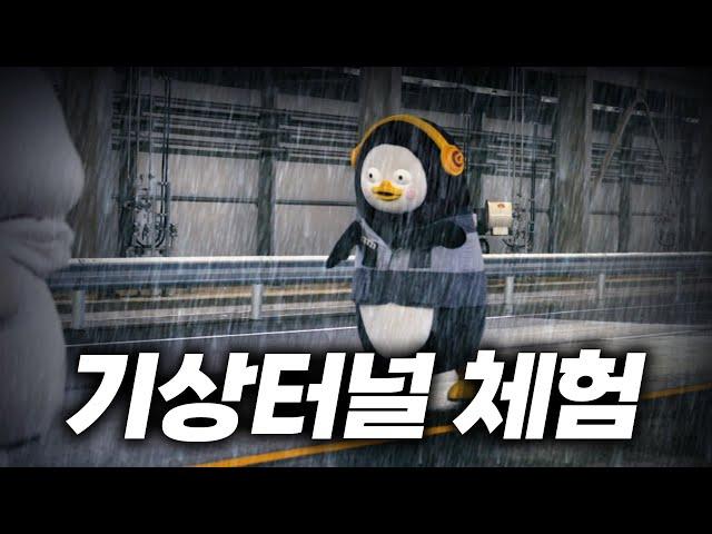 폭우 속 기상터널에 고립된 펭수[EP.363](ENG/JPN)