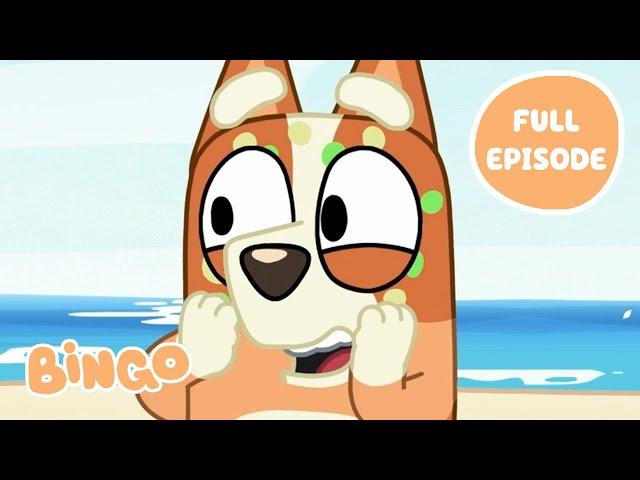 Bingo at the Beach! ️ | The Beach - Bluey Full Episode | Bingo - Official Channel