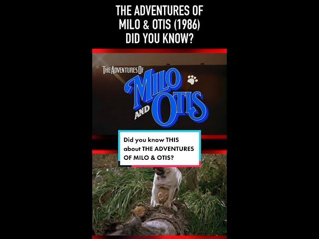Did you know THIS about THE ADVENTURES OF MILO & OTIS?