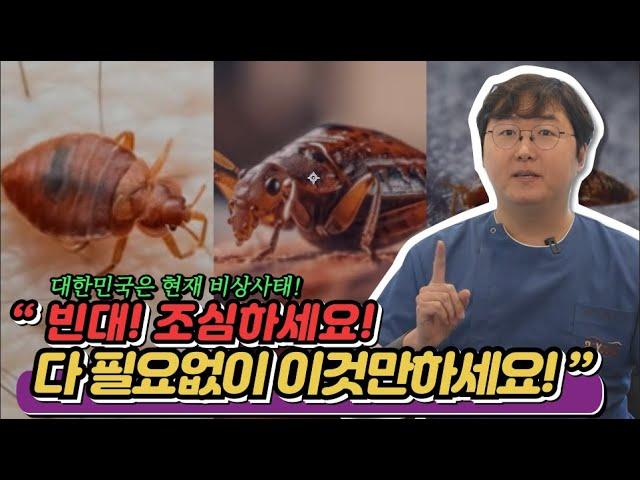 현직 의사가 알려주는 빈대에 물렸을때부터 퇴치방법까지 모든 것 A to Z