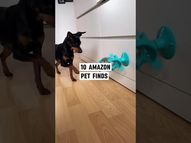 10 GENIUS Pet Gadgets on Amazon 2025  #amazonfinds #amzonmustbuy #amzon #amazonpetfinds #shorts