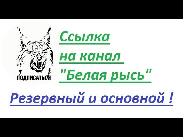 Хакеры разломали канал "Белая рысь"