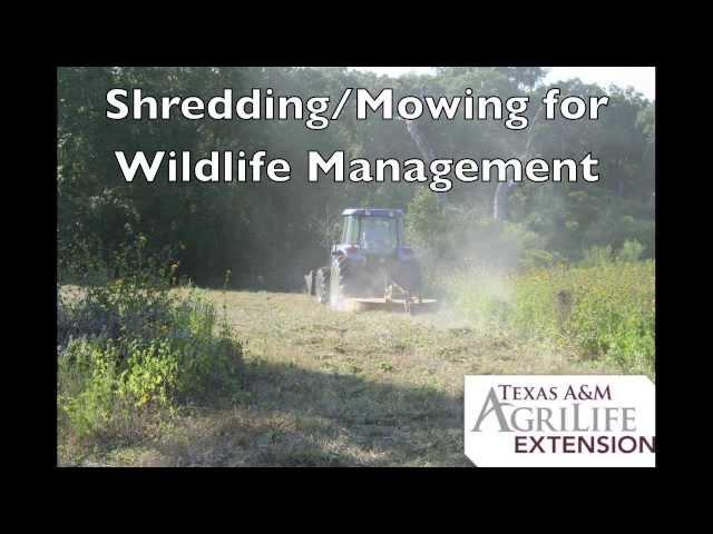 Shredding/Mowing for Wildlife Management in Texas