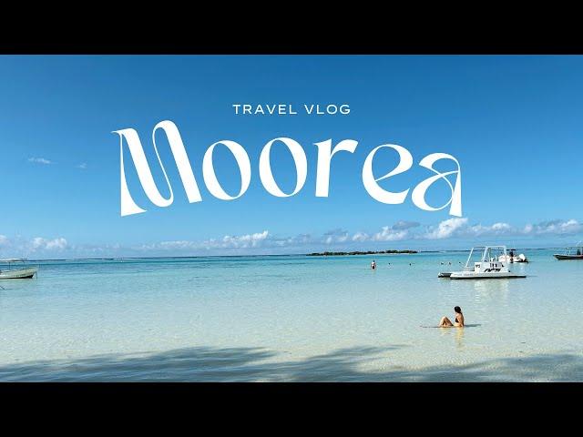 Is This Paradise? Exploring Moorea, French Polynesia | Travel Vlog