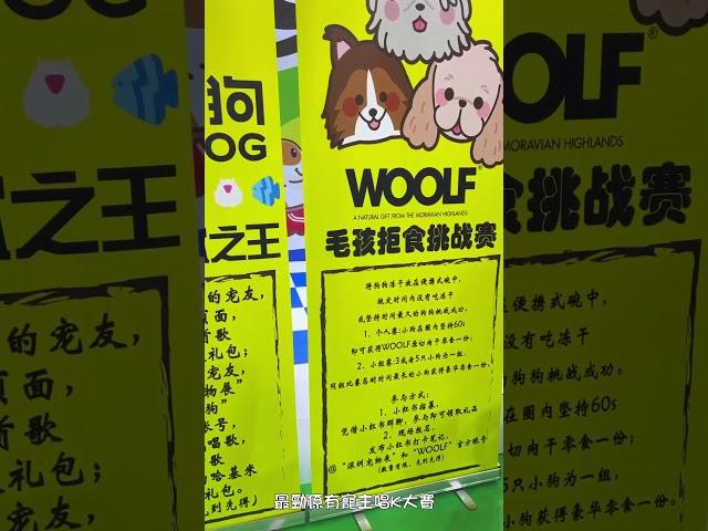 2024深圳寵物展有咩睇？新奇又有趣簡直大開眼界~寵主唱k大賽？值得去行去睇嗎？#深圳寵物展 #pets #pet #petlover #petlovers