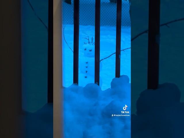 This snowman is always watching