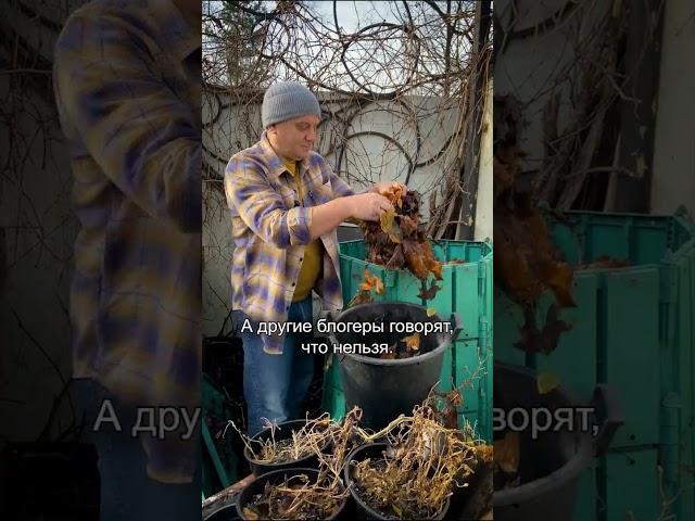 Листья ореха в компост МОЖНО Дачный агроном