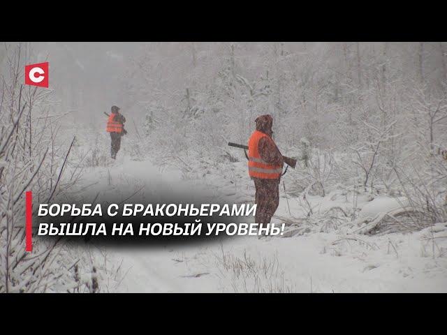 Из охотника – в добычу | Браконьеры в страхе | Какие последствия ждут нелегальных добытчиков дичи