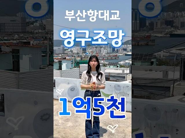 24시간영구조망뷰리모용주택매입하실분! ️ #부산상가매매