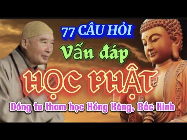 PHÁP SƯ TỊNH KHÔNG TRẢ LỜI 77 CÂU HỎI ĐỒNG TU THAM HỌC HỒNG KÔNG, BẮC KINH 🪷🪷🪷@phatphapnews