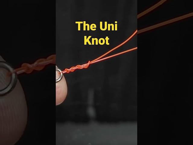 The Uni Knot (Duncan Loop)