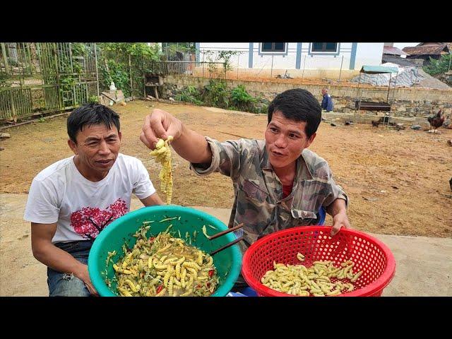 Gỏi con Sâu Tằm quằn quại  Siêu Bá Đạo cũng chỉ để  dành cho anh em Tộc  nhắm rượu thôi. Tam Tộc TV