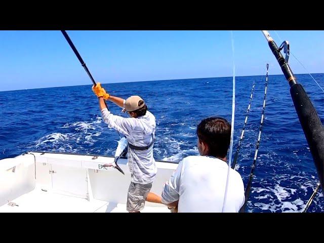 FOUR HOURS Offshore Fishing WAHOO, TUNA, MAHI