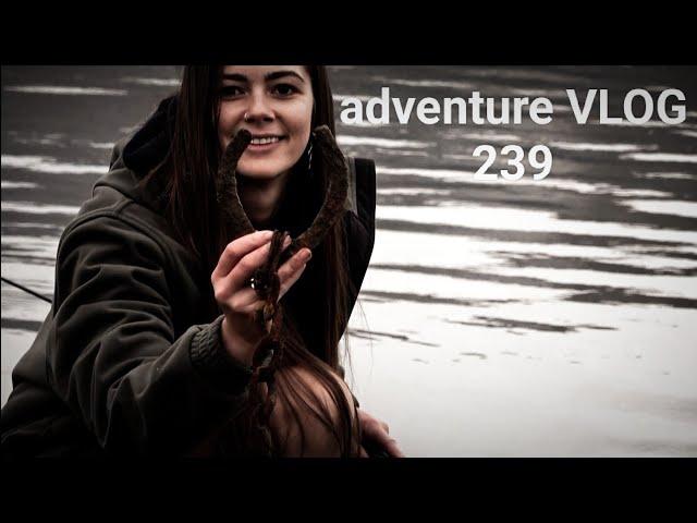 JOSH JAMES adventure VLOG 239 A Deer A Trout and a Camping Mission New Zealand Red Deer Roar 2023