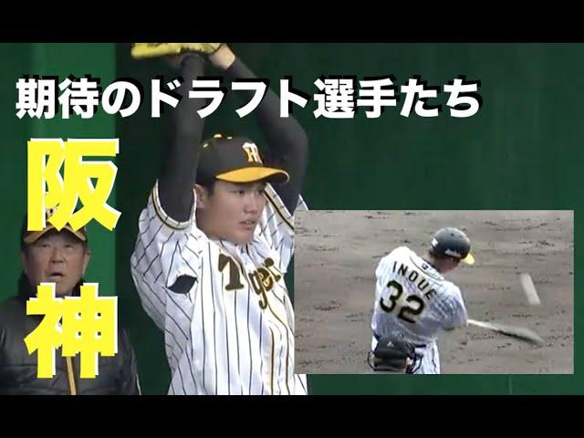 【阪神2020年新人選手】誰が一番早く１軍の切符を手に入れられるか。楽しみな選手ばかりの19年度ドラフト