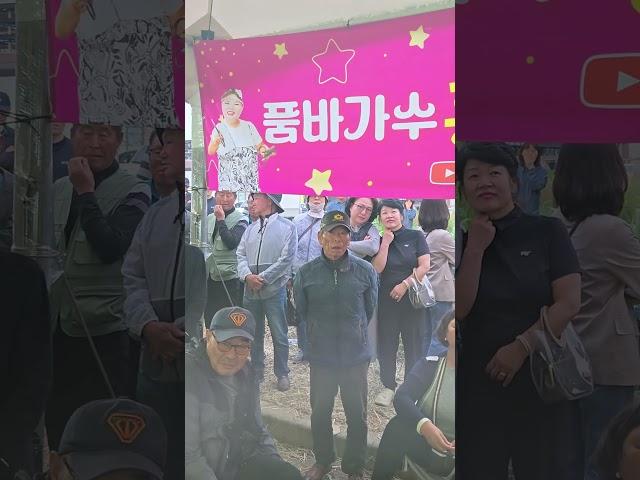 🩵영광 법성포에 쪼꼬가 떴다🩵대박~^^